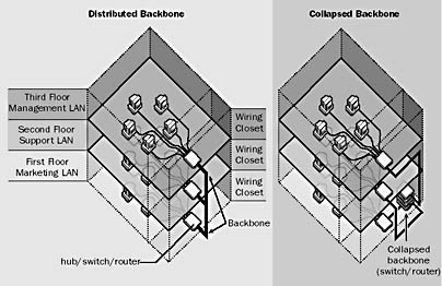 glycerol backbone definition glycerol backbone definition